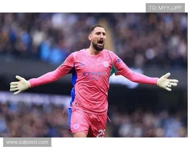 评论员分析范戴克争议判罚多库干扰多纳鲁马视线更具说服力